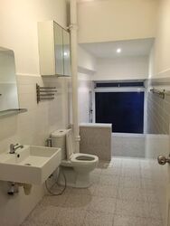 Clover Park (D20), Terrace #564204411